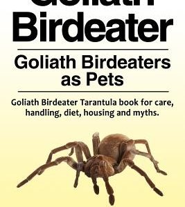 Goliath Birdeater . Goliath Birdeaters as Pets. Goliath Birdeater Tarantula book for care, handling, diet, housing and myths.