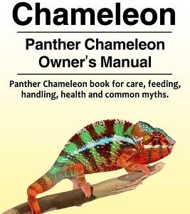 Panther Chameleon. Panther Chameleon Owner's Manual. Panther Chameleon book for care, feeding, handling, health and common myths.