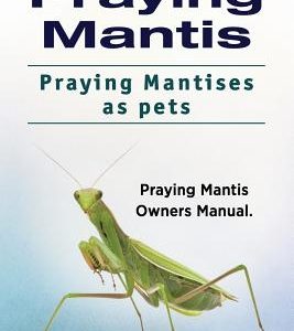 Praying Mantis. Praying Mantises as Pets. Praying Mantis Owners Manual.