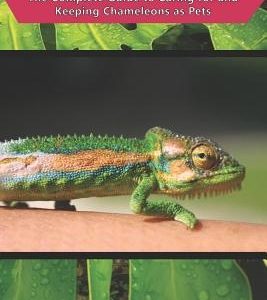 Chameleon Care: The Complete Guide to Caring for and Keeping Chameleons as Pets