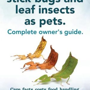 Stick Insects, Stick Bugs and Leaf Insects as Pets. Stick Insects Care, Facts, Costs, Food, Handling, Cages, Health, Breeding and Where to Buy All Inc