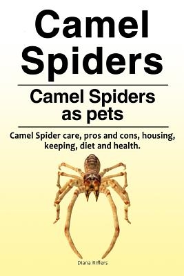 Camel spiders. Camel spiders as pets. Camel spider care, pros and cons, housing, keeping, diet and health.