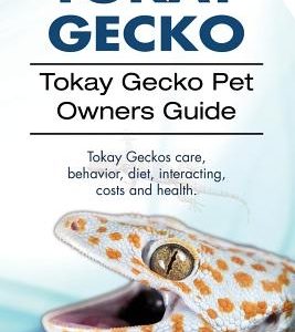 Tokay Gecko. Tokay Gecko Pet Owners Guide. Tokay Geckos care, behavior, diet, interacting, costs and health.