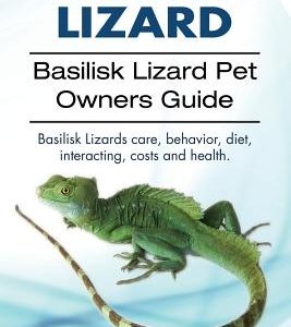 basilisk: Basilisk Lizard. Basilisk Lizard Pet Owners Guide. Basilisk Lizards care, behavior, diet, interacting, costs and healt
