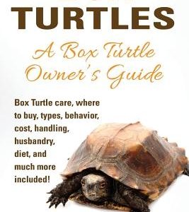 Box Turtles: Box Turtle care, where to buy, types, behavior, cost, handling, husbandry, diet, and much more included! A Box Turtle