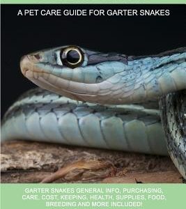 Garter Snakes: Garter Snakes General Info, Purchasing, Care, Cost, Keeping, Health, Supplies, Food, Breeding and More Included! A Pet