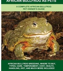 African Bullfrog as Pets: A Complete African Bullfrog Pet Owner's Guide