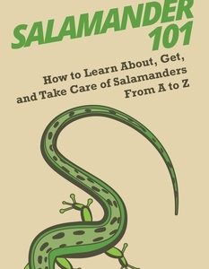 Salamander 101: How to Learn About, Get, and Take Care of Salamanders From A to Z