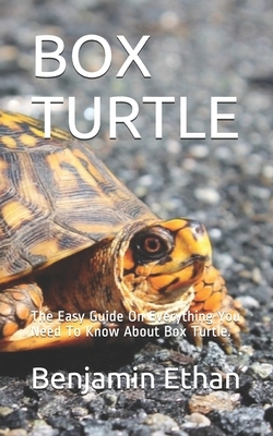 Box Turtle: The Easy Guide On Everything You Need To Know About Box Turtle.