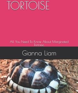 Marginated Tortoise: All You Need To Know About Marginated Tortoise.