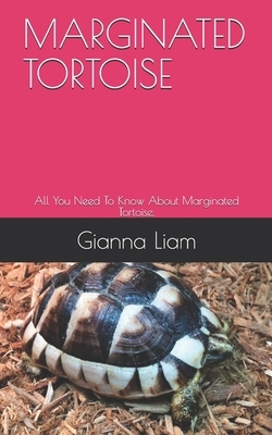 Marginated Tortoise: All You Need To Know About Marginated Tortoise.