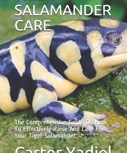 Tiger Salamander Care: The Comprehensive Guide On How To Effectively Raise And Care For Your Tiger Salamander.