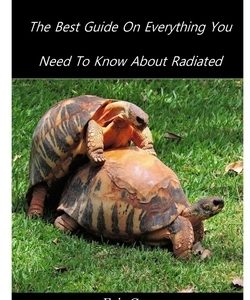 Radiated Tortoise: The Best Guide On Everything You Need To Know About Radiated Tortoise.