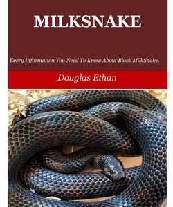 Black Milksnake: Every Information You Need To Know About Black Milk Snake.