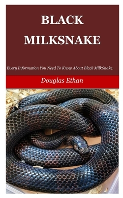 Black Milksnake: Every Information You Need To Know About Black Milk Snake.