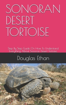 Sonoran Desert Tortoise: Step By Step Guide On How To Understand Everything About Sonoran Desert Tortoise.