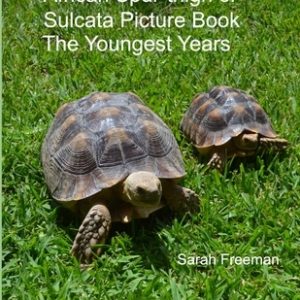 African Spur-thigh or Sulcata Picture Book - The Youngest Years