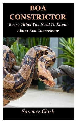Boa Constrictor: Every Thing You Need To Know About Boa Constrictor