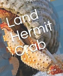 Land Hermit Crab: The Best Guide To Care For Your Land Hermit Crab