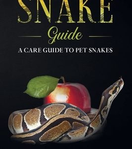 Snake Guide: A care guide to pet snakes