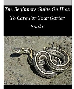 Garter Snake: The Beginners Guide On How To Care For Your Garter Snake
