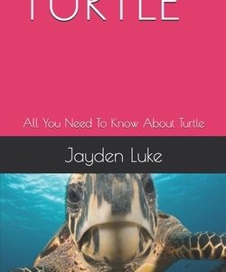 Turtle: All You Need To Know About Turtle