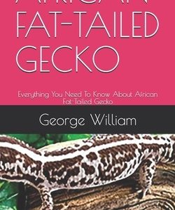 African Fat-Tailed Gecko: Everything You Need To Know About African Fat-Tailed Gecko