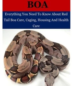 Red Tail Boa: Everything You Need To Know About Red Tail Boa, Care, Housing, Caging And Health Care