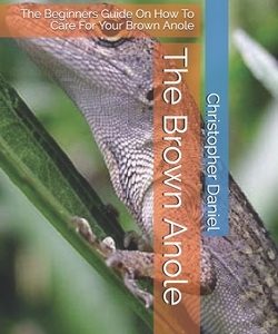 The Brown Anole: The Beginners Guide On How To Care For Your Brown Anole