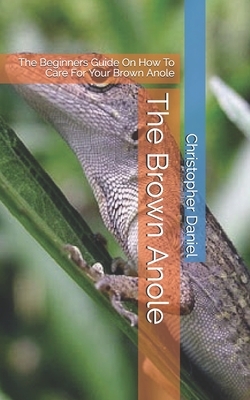 The Brown Anole: The Beginners Guide On How To Care For Your Brown Anole