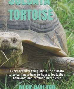 Sulcata Tortoise: Every detailed thing about the sulcata tortoise. Know how to house, feed, their behaviors and common heath care