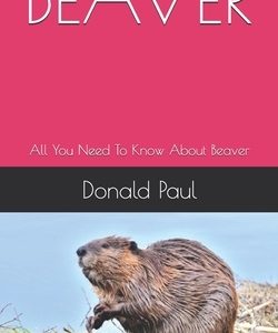 Beaver: All You Need To Know About Beaver