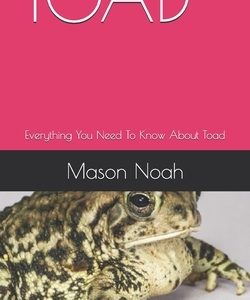 Toad: Everything You Need To Know About Toad