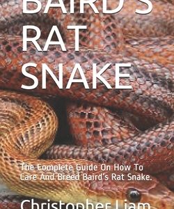 Baird's Rat Snake: The Complete Guide On How To Care And Breed Baird's Rat Snake.