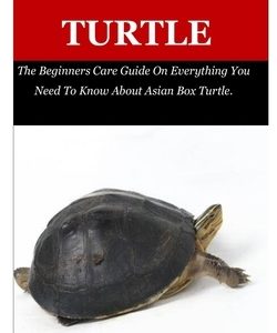Asian Box Turtle: The Beginners Care Guide On Everything You Need To Know About Asian Box Turtle.