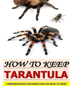 How to Keep Tarantula: Comprehensive Information On How To Keep Tarantula, Care, Housing, Diet, And Keeping Them As Pet
