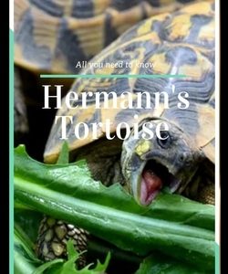 Hermann's Tortoise: All you need to know