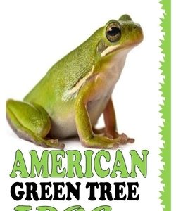 American Green Tree Frog: A Complete Care Guide to American Green Tree Frog