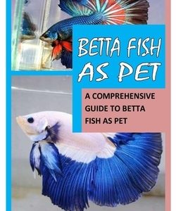 Betta Fish as Pet: A Comprehensive Guide to Betta Fish as Pet
