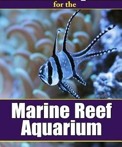 107 Tips for the Marine Reef Aquarium