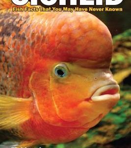 15 Essential Cichlid Fish Facts That You May Have Never Known: Fishlaw1 Must Read Essential Cichlid Facts