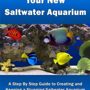 Your New Saltwater Aquarium: A Step By Step Guide To Creating and Keeping A Stunning Saltwater Aquarium