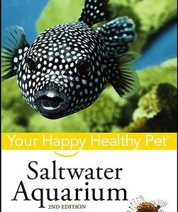 Saltwater Aquarium: Your Happy Healthy Pet