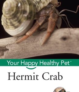 Hermit Crab: Your Happy Healthy Pet