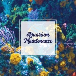 Aquarium Maintenance: Home Fish Tank Log Book, Aquarists Gift, Water Levels Record Care Notebook, Tropical, Betta, Shark, Etc. Journal, Diar