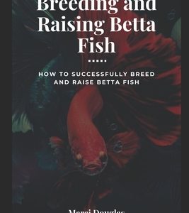 Breeding and Raising Betta Fish: How to Successfully Breed and Raise Betta Fish