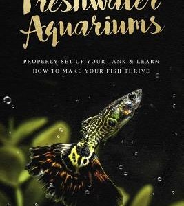Freshwater Aquariums: Properly Set Up Your Tank & Learn How to Make Your Fish Thrive