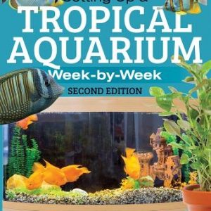 Setting Up a Tropical Aquarium: Week by Week