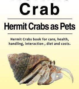 Hermit Crab. Hermits Crabs as Pets.Hermit Crabs book for care, health, handling, interaction, diet and costs.