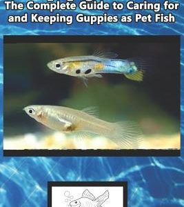 Guppy Care: The Complete Guide to Caring for and Keeping Guppies as Pet Fish